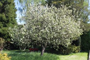 Photo 26- click for photo gallery